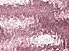 0_850dc_ba17ffe2_XS