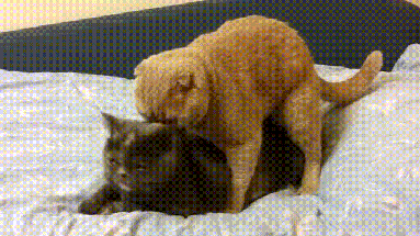 1358239655_1503049816