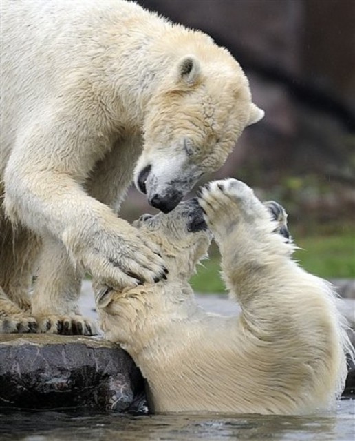 счастливчики