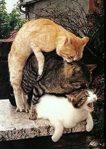 9a6bbd60030fa31d5e09a00a3e0ecc5d