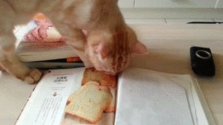 от жеж бляяя