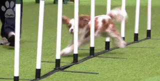 uAM62l6K_inettools.net_crop_image (1)