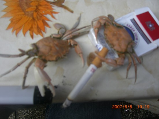 CIMG0207 - копия