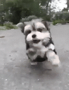 1436018453_805075114