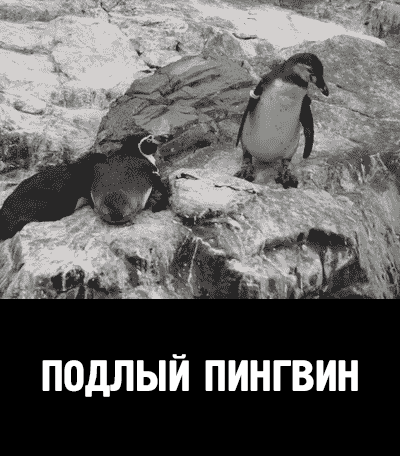 671a92b6770e25a927e1264121741992deb8ca4a6711f27840c92dc2427cd827_1