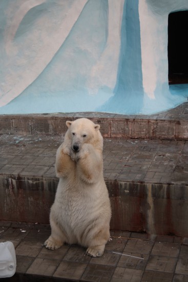 Изображение 405