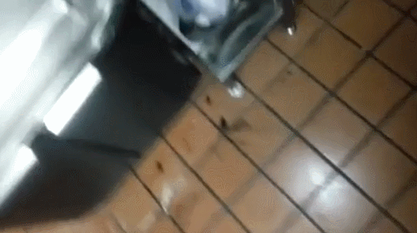 -неведомая-хуйня-сжечь-песочница-2237053