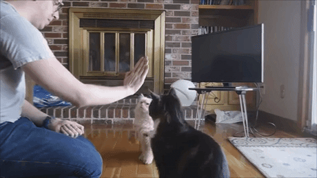 48c50c04f169ac53f4bf12fe6a7