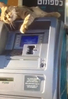 наличных