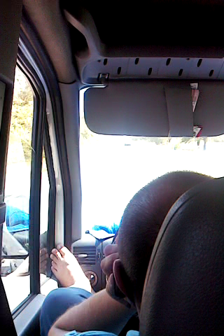 водитель  маршрутки