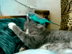 d552e990gw1etnk48z7cpg206t0564li