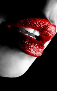 image_412504110047274674473