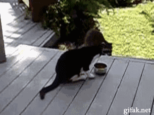 77_yapfiles.ru_yapfiles.ru