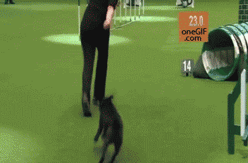 d382451366efb36f6f3e2e63098