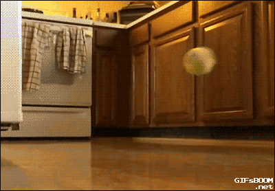 410c58eb14ba271bdb05025988d