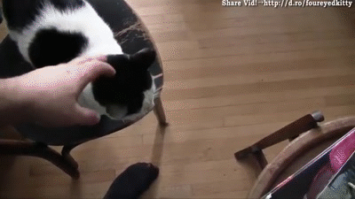 1438251985_580965746