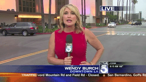 -новости-прямой-эфир-нигер-2299790