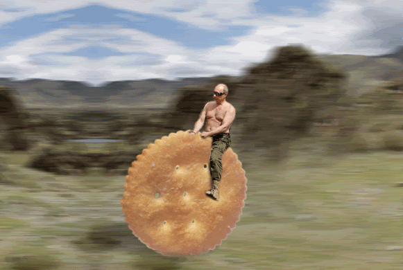 putinoncookie