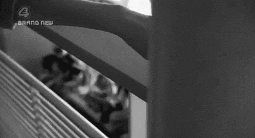 tumblr_mez9019AXf1r40fnio1_500