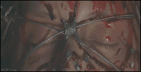 gifki-strashnye-gifki-smeshnye-gifki-gifki-kote_6358651524