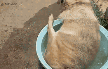 8a58835a1d917f5b016d5b98d67