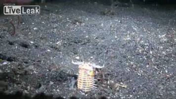 0_ce340_a3bc855_orig