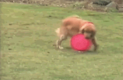 1439058734_1840661217