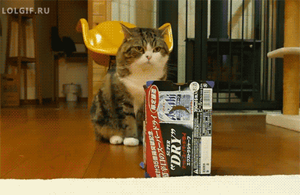 лезет в коробку