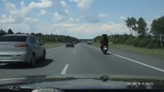 1439278447_2120081690