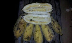 banan-s-kostochkoy
