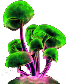 animated_mushroom