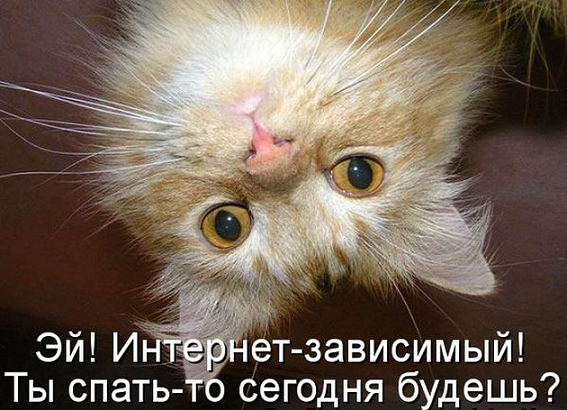 33asdasd