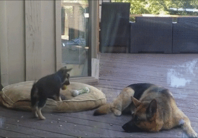 wxV0DKs_-_Imgur_converted