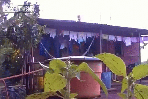 1439941832-34c039c8bd567f8ffc33a352068aa99b