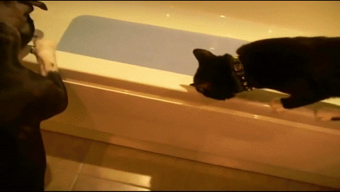 1376480960_2050136420