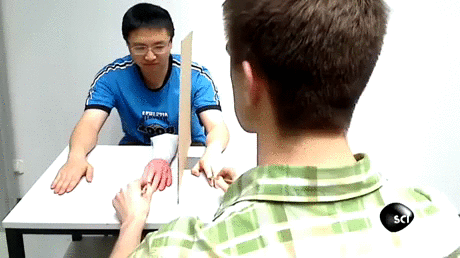 Показалось