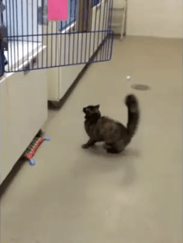 1440083512_1787604322