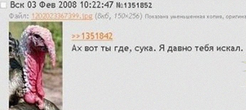 71325