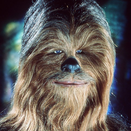Chewbacca