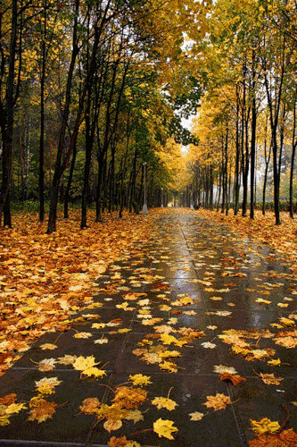 9332653_6 (из инета)