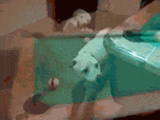 16eb026a8c4693eba7a93dfacd900aa8ffd780ed7b09b34f36312599235c06b1_1