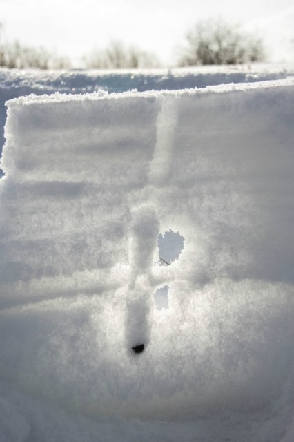 c755f0a19fd76c79b66bbaabaf5a1304