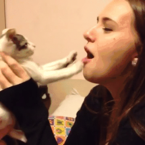 daily_gifdump_900_29