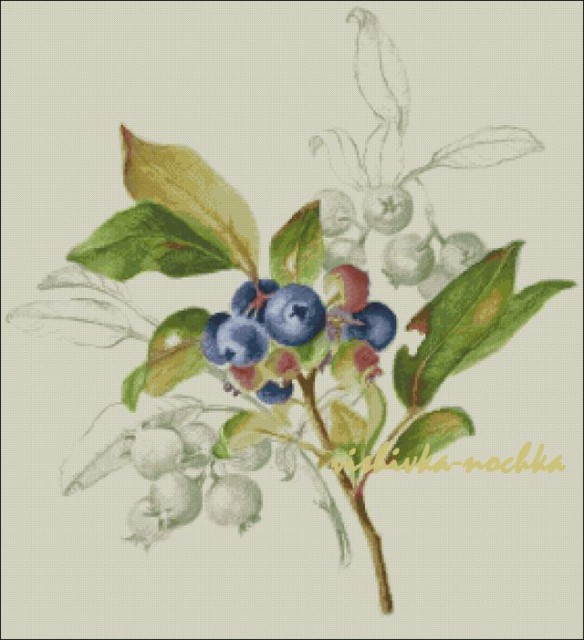 кустик1