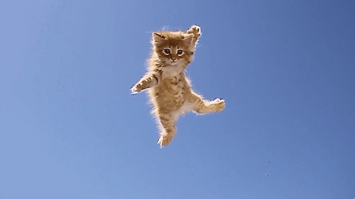 fe631378d9bdf35cdef36814f1b