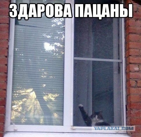 L4PG8nt3FvA