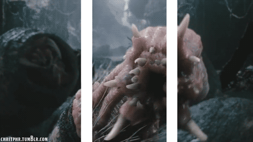 giphy (4)