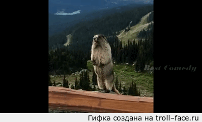 troll-face.ru_68494c