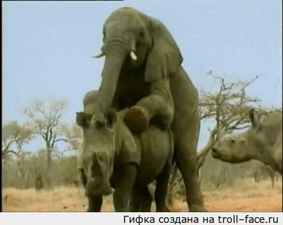 troll-face.ru_2a0e53