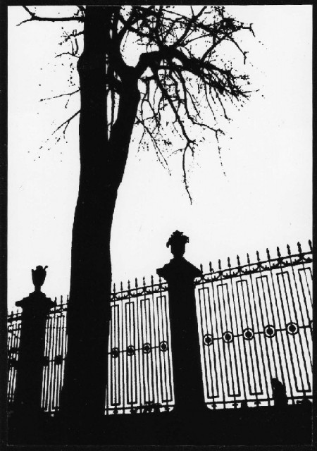 Летний сад зимой